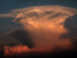 mushroomcloud